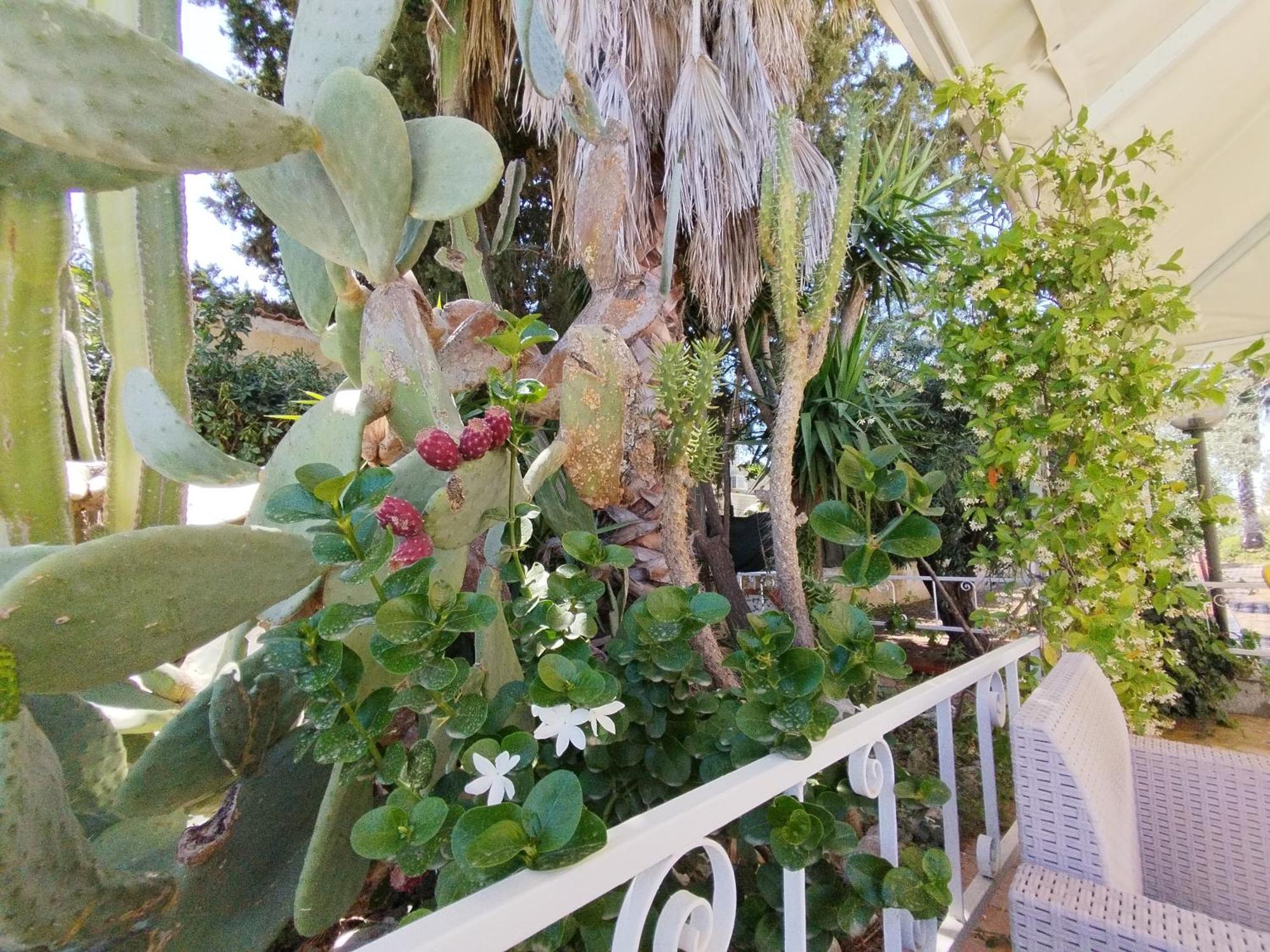 Casa Di Lu' Villa Floridia Exteriör bild